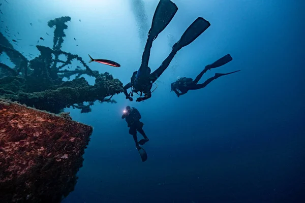 Croazia Immersioni Brivido Blu Profondo 2021 — Foto Stock