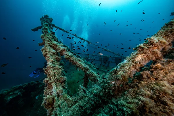 Hırvatistan. Sprey dalışı. Koyu mavi 2021