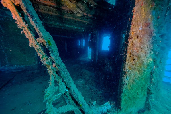 Hırvatistan. Sprey dalışı. Koyu mavi 2021