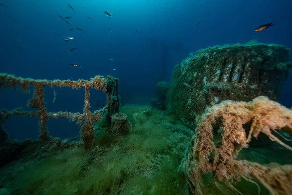 Croatia. Wrack diving. Deep blue 2021