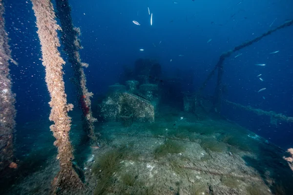 Croatia. Wrack diving. Deep blue 2021