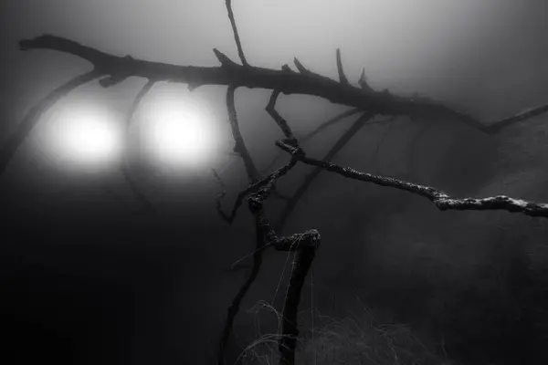 Suyun altındaki ışık (Mavi Göl) 