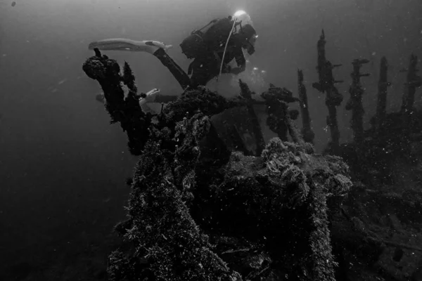 Hırvatistan. Sprey dalışı. Koyu mavi 2021