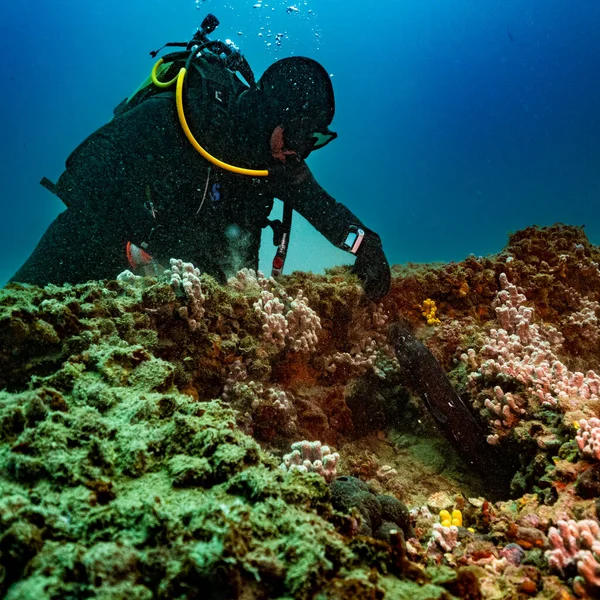 Croatia Wrack Diving Deep Blue 2021 — Stock Photo, Image