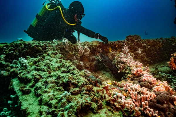 Hırvatistan. Sprey dalışı. Koyu mavi 2021