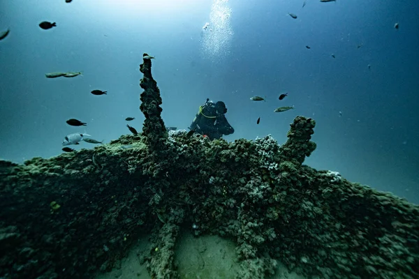 Croatia Wrack Diving Deep Blue 2021 — Stock Photo, Image