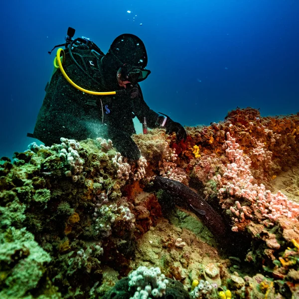 Croatia Wrack Diving Deep Blue 2021 — Stock Photo, Image