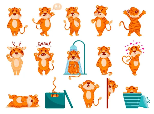 Gran Conjunto Dibujos Animados Tigres Lindos Pegatinas Emociones Diferentes Sobre — Archivo Imágenes Vectoriales