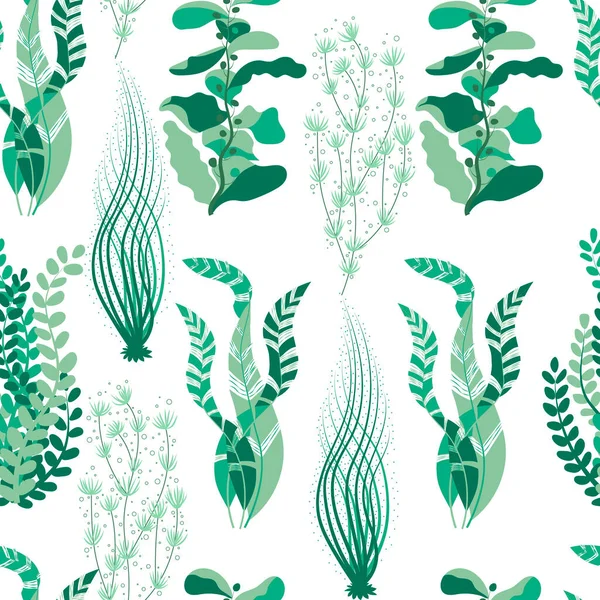 Motif Avec Longues Algues Vertes — Image vectorielle