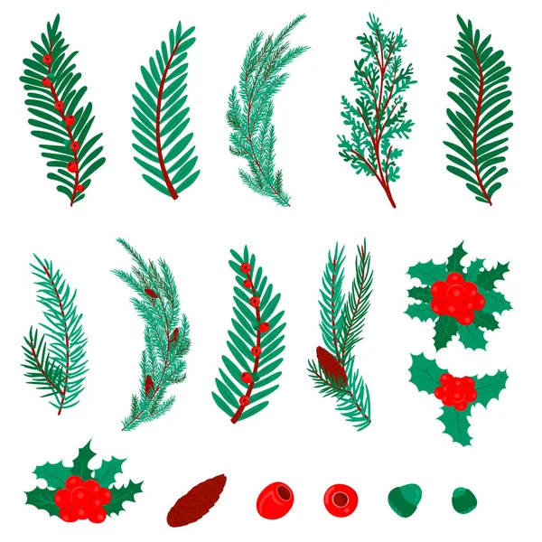 Kozalaklı ağaçlardan oluşan bir set. Çam, ladin, ardıç, Holly. Kozalaklı böğürtlen, kozalak. Dekor için Kış Noel elementleri