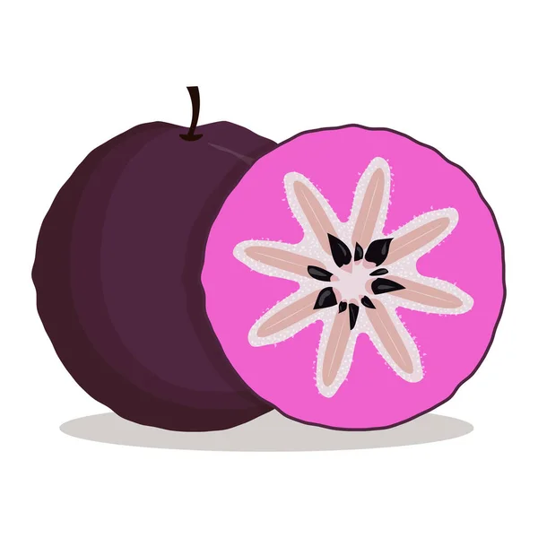 Whole Slice Deep Purple Star Apple Plum Tropical Exotic Fruit — Stock Vector