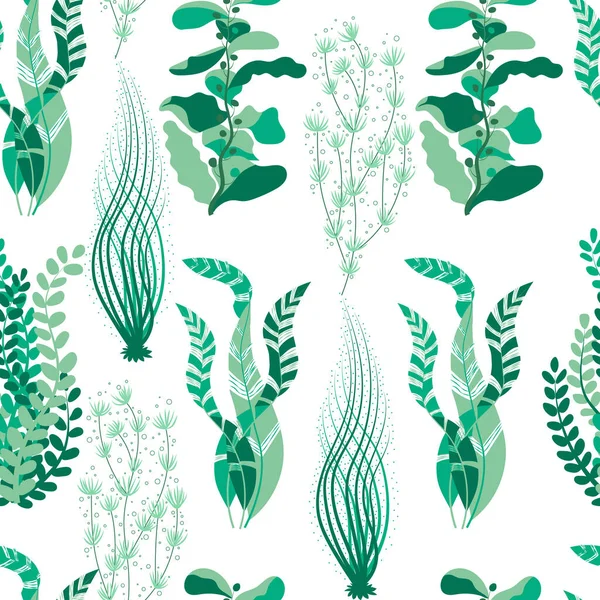 Motif Sans Couture Avec Longues Algues Vertes Dans Style Plat — Image vectorielle