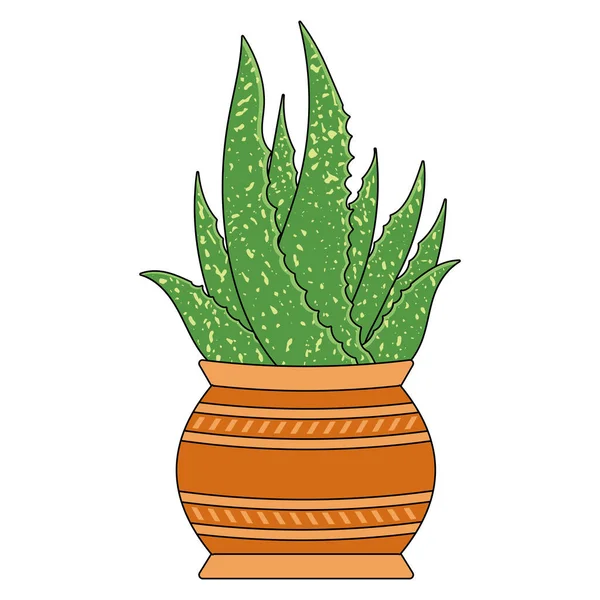 Zielony Aloes Roślinny Bromn Garnku Pomarańczowym — Wektor stockowy