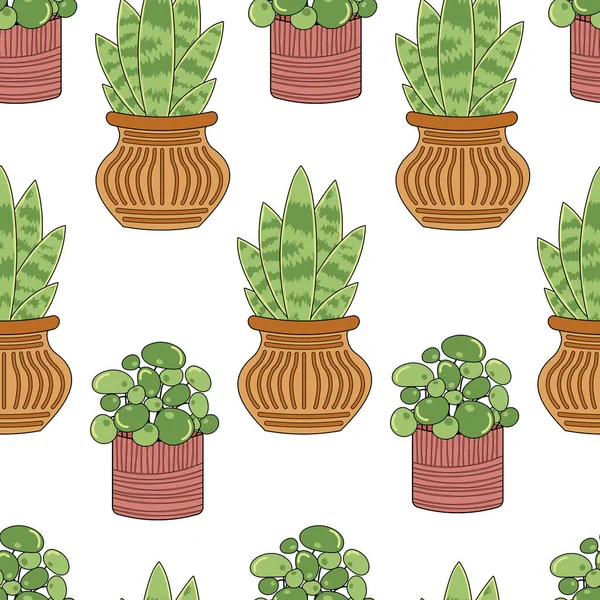 Seamless Pattern Home Plants Sansevieria Succulents Pots — Stock Vector