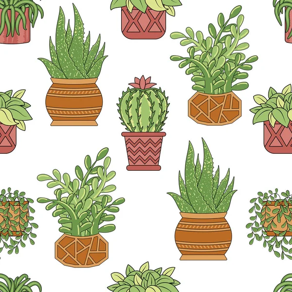 Patrón Sin Costura Con Ficus Plantas Caseras Clorofito Cactus Aloe — Vector de stock