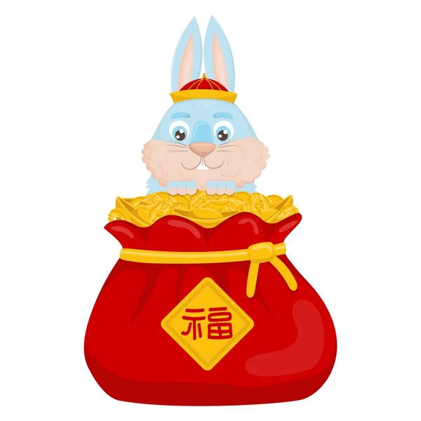 可爱的卡通蓝兔在国语中好运袋中 — 图库矢量图片