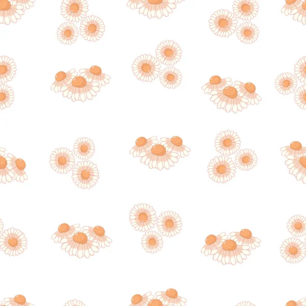 Bezešvé Botanické Ornament Vzor Podzimní Sedmikrásky Pupeny Pastelových Barvách Izolovaných — Stockový vektor