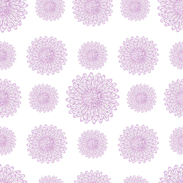 Motif Sans Couture Avec Ornement Botanique Asters Violets Isolés Sur — Image vectorielle