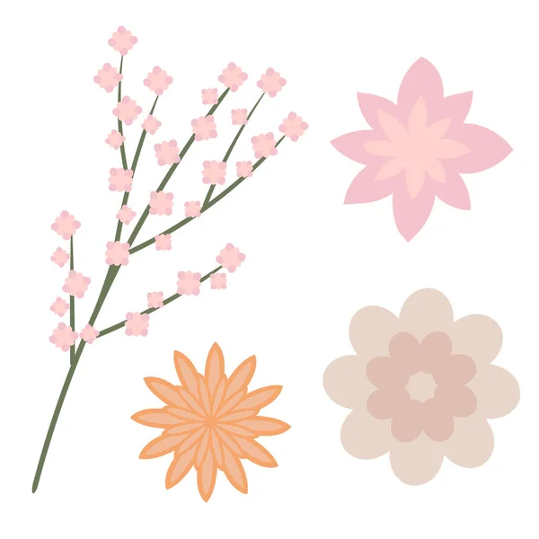 Conjunto Flores Vectoriales Minimalistas Abstractas Simples — Vector de stock