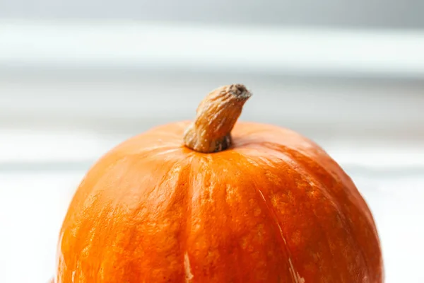 Laranja Abóbora Close Fundo Borrado — Fotografia de Stock