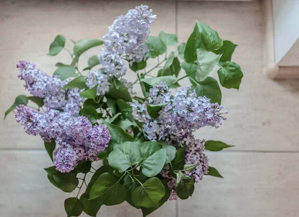 A bouquet of lilacs in a vase on the floor.