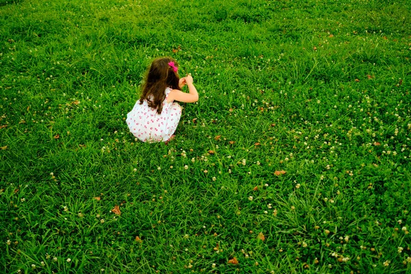 Little Girl Collecting Flowers Field — Stock Photo, Image