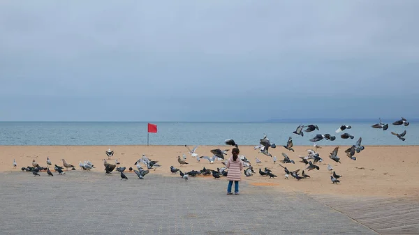 Little Girl Chases Pigeons Beach — Stock Photo, Image