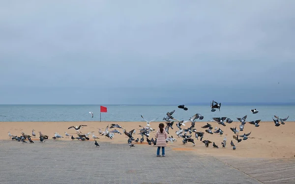 Little Girl Chases Pigeons Beach — Stock Photo, Image