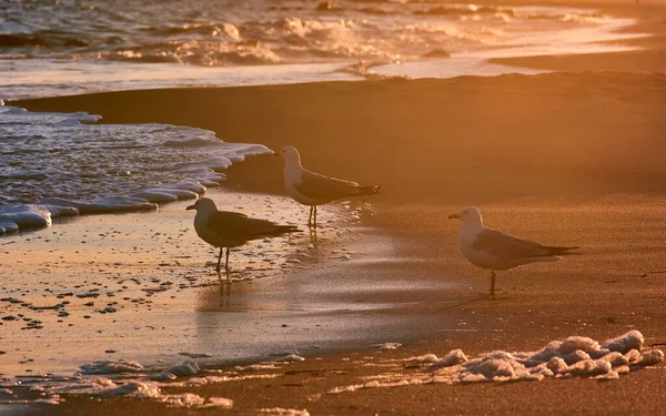 Scenes at Coney Island beach as the last rays of the evening sun fall onto the water