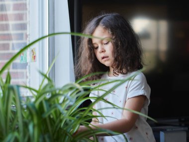 Tatlı kız pencerenin yanındaki bir ev bitkisiyle oynuyor.