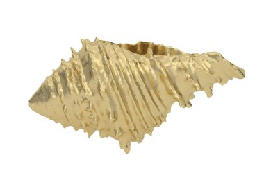 Beyaz arka planda izole edilmiş bir altın kabuk. 3 boyutlu görüntüleme. 3B illüstrasyon.