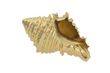 Beyaz arka planda izole edilmiş bir altın kabuk. 3 boyutlu görüntüleme. 3B illüstrasyon.