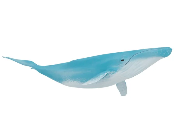Blauwe Vinvis Geïsoleerd Witte Achtergrond Weergave Illustratie — Stockfoto