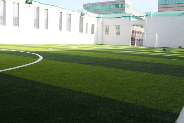 Voetbal Lijn Groene Gras Van Een Voetbalveld Groen Gazon Veld — Stockfoto