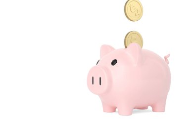 Pembe kumbara beyaz arka plan üzerinde izole. 3D çizim.