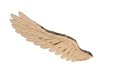 A copper wing Isolated On White Background, 3D render. 3D illustration.
