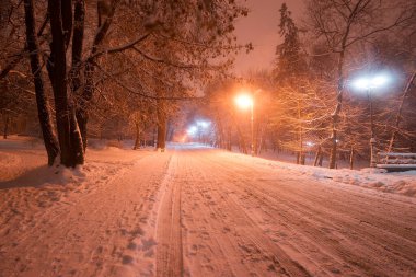 Park et. İyi akşamlar. Kış.Kyiv