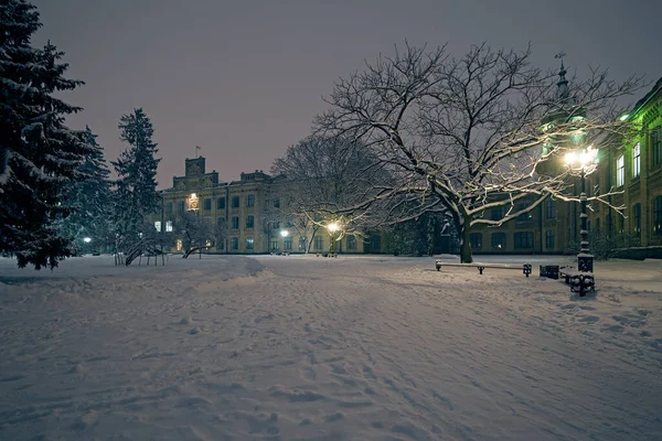 Parque Boa Noite Inverno Instituto Politécnico Kyiv — Fotografia de Stock