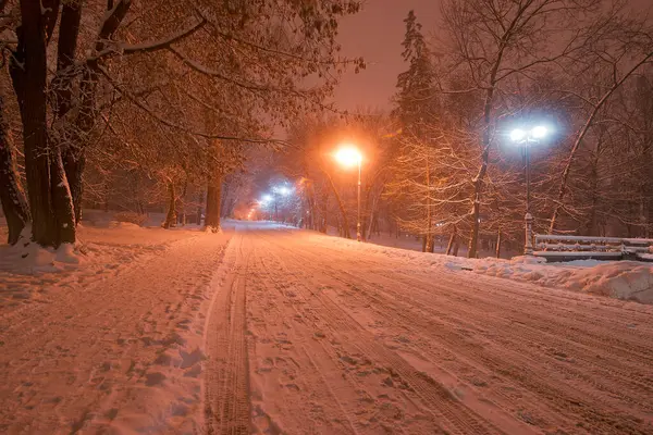 Park et. İyi akşamlar. Kış. Kyiv