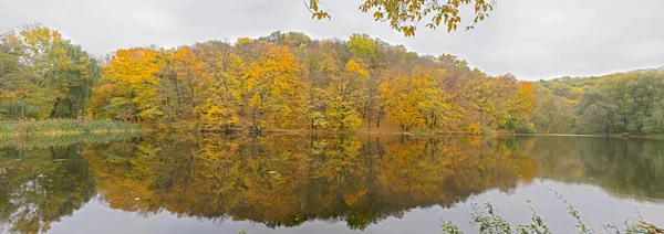 Kyiv şehrindeki eski park
