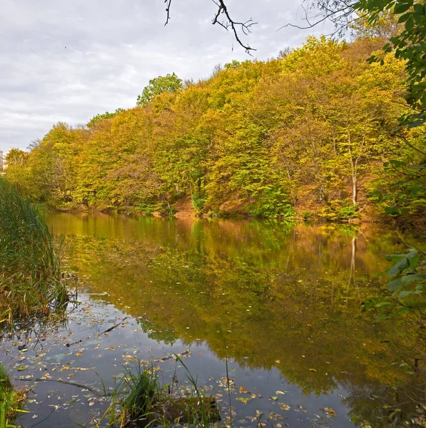 Kyiv şehrindeki eski park