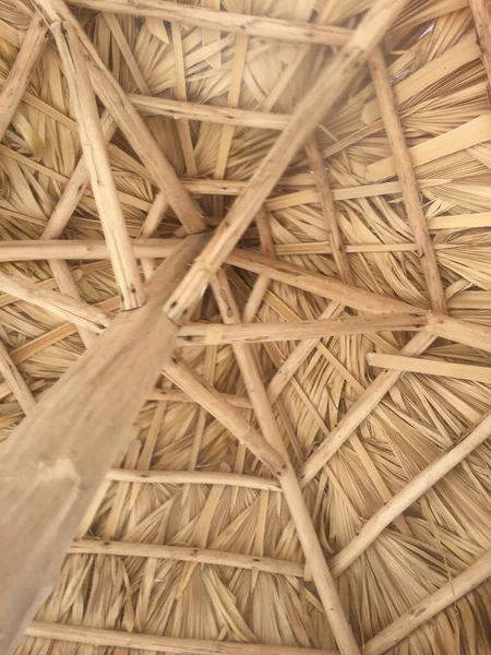 Architektur Mit Palme Der Dominikanischen Republik — Stockfoto