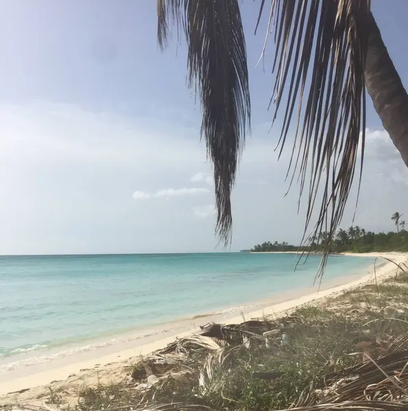 Spiaggia Paradisiaca Nel Mare Dei Caraibi — Foto Stock