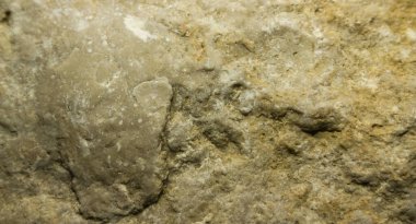 Taş - birleşik bir kaya için yaygın bir isim, genetik tipi, kesir boyutu ve mineralojik bileşimi ne olursa olsun kompakt..