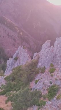 Polonya 'daki bir dağın tepesinde gün batımını seyreden bir çocuk.