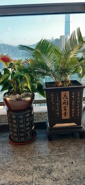 Hong Kong şehrinin manzarası
