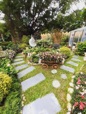 Parktaki güzel çiçekler.