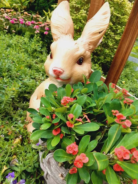 Rabbit Garden — Stock Photo, Image