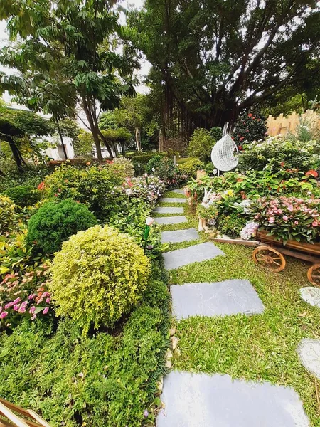 美丽的花园 有花朵和植物 — 图库照片