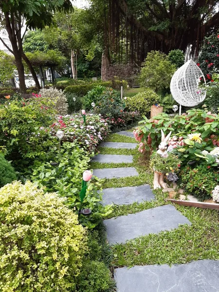 สวนดอกไม และพ ชในเม — ภาพถ่ายสต็อก